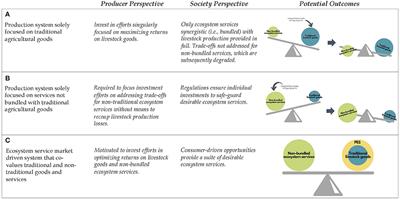 Rangeland Ecosystem Service Markets: Panacea or Wicked Problem?